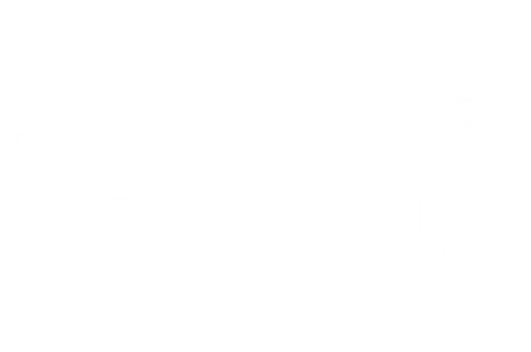 Official Selection - Moon Arts Film Festival 2025